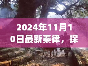 探秘秦律秘境，隱藏版特色小店的非凡故事（最新秦律揭秘）