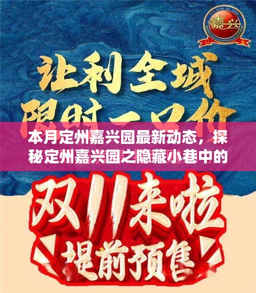 本月定州嘉興園最新動態(tài)，探秘隱藏小巷的獨(dú)特風(fēng)味——新鮮打卡指南