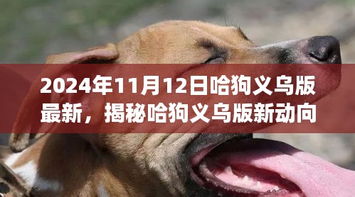 揭秘哈狗義烏版新動(dòng)向，深度解讀與最新動(dòng)態(tài)（2024年11月12日）