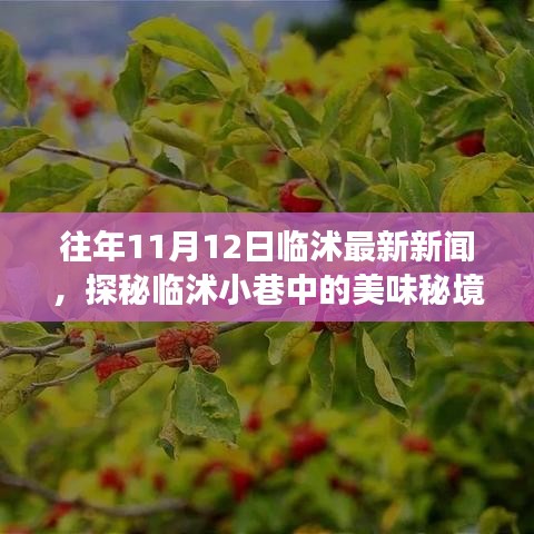 探秘臨沭小巷美味秘境，11月12日臨沭最新新聞中的隱藏美食店揭秘