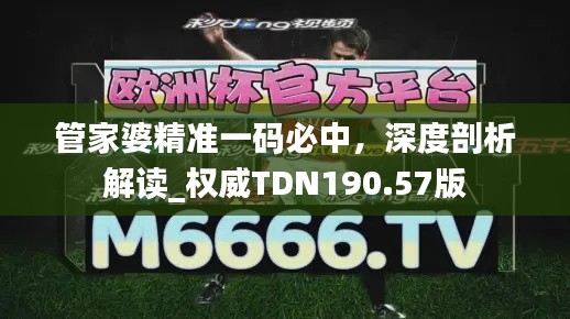 管家婆精準一碼必中，深度剖析解讀_權威TDN190.57版