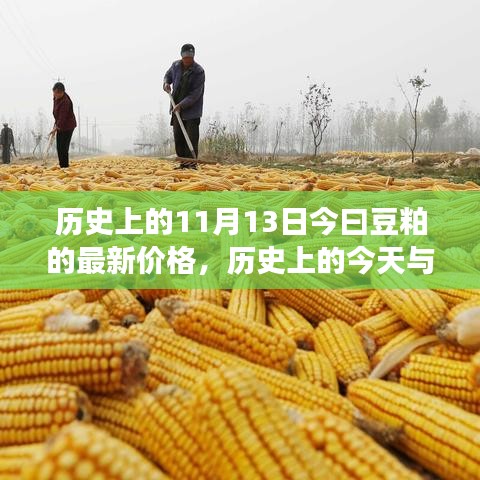 揭秘豆粕市場，今日價格走勢與歷史上的今天關聯(lián)揭秘