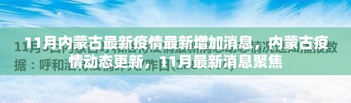內蒙古11月疫情最新動態(tài)，最新增加消息與聚焦