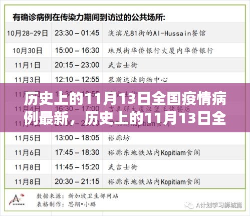 歷史上的11月13日全國疫情病例最新進展與科普解讀，疫情動態(tài)及影響分析