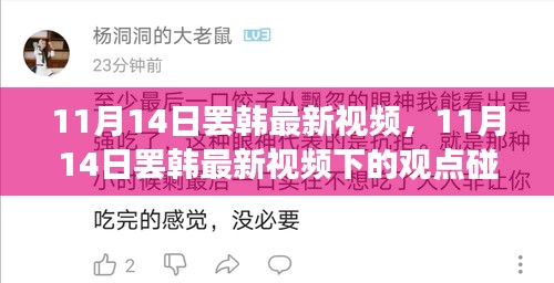 11月14日罷韓最新視頻，觀點碰撞與個人立場探討