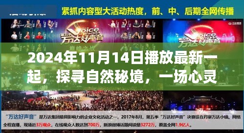探尋自然秘境，心靈之旅啟程于2024年11月14日