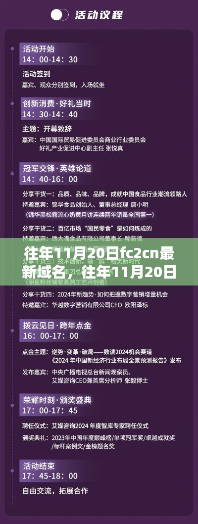 往年11月20日FC2CN域名更新，解析與觀點(diǎn)闡述