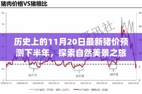 歷史上的11月20日豬價預測與心靈寧靜尋覓之旅，自然美景探索