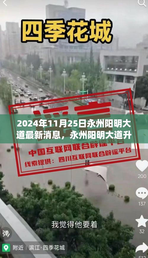 永州陽明大道升級(jí)改造最新進(jìn)展深度評(píng)測(cè)，最新消息與評(píng)測(cè)報(bào)告（2024年11月25日）