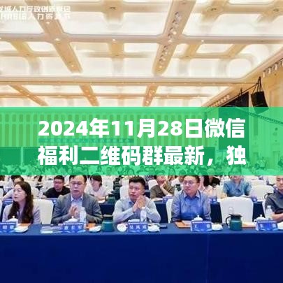 獨家爆料，全新升級微信福利二維碼群，科技重塑生活體驗新篇章（2024年11月28日）