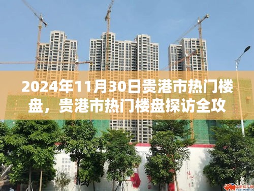 貴港市熱門樓盤探訪全攻略，購房指南（2024年11月30日）