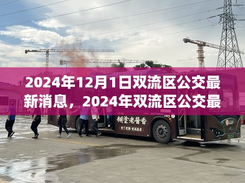 2024年雙流區(qū)公交最新消息詳解，獲取與使用公交服務(wù)的全面指南