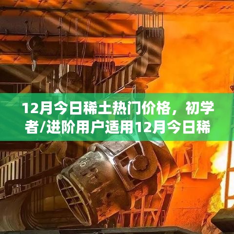12月今日稀土熱門價(jià)格詳解，初學(xué)者與進(jìn)階用戶查詢及解讀指南