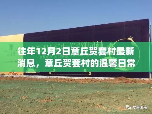章丘賀套村12月2日最新動(dòng)態(tài)，溫馨日常的嶄新篇章