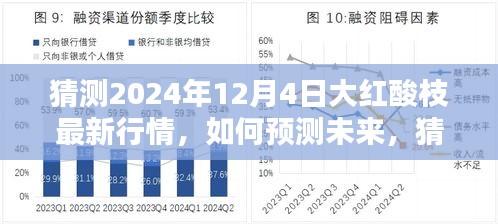 2024年預(yù)測，大紅酸枝最新行情展望與步驟指南