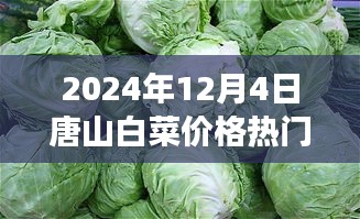 唐山白菜情緣，冬日蔬菜市場的溫情故事與白菜價(jià)格行情解析