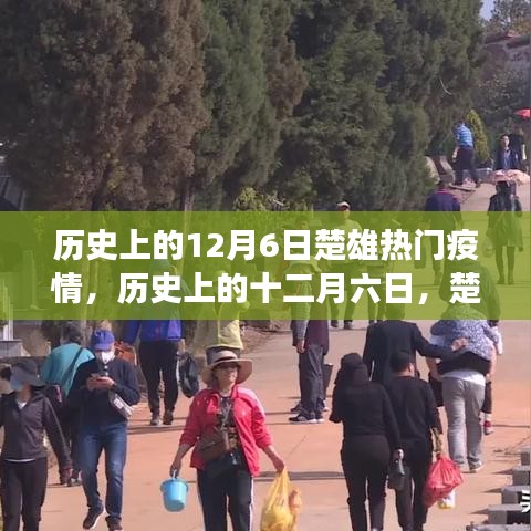歷史上的十二月六日，楚雄疫情風(fēng)云變遷回顧