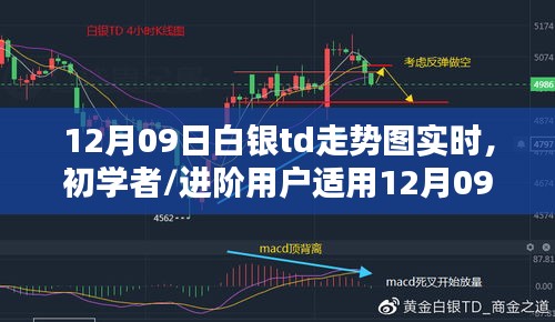 12月09日白銀TD走勢圖實時分析指南，適合初學(xué)者與進階用戶