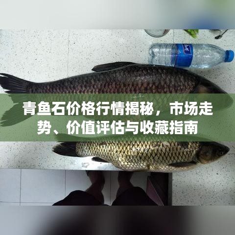青魚石價(jià)格行情揭秘，市場(chǎng)走勢(shì)、價(jià)值評(píng)估與收藏指南