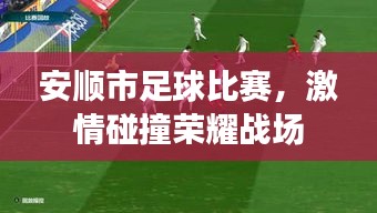 安順市足球比賽，激情碰撞榮耀戰(zhàn)場