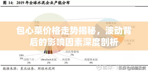 包心菜價格走勢揭秘，波動背后的影響因素深度剖析