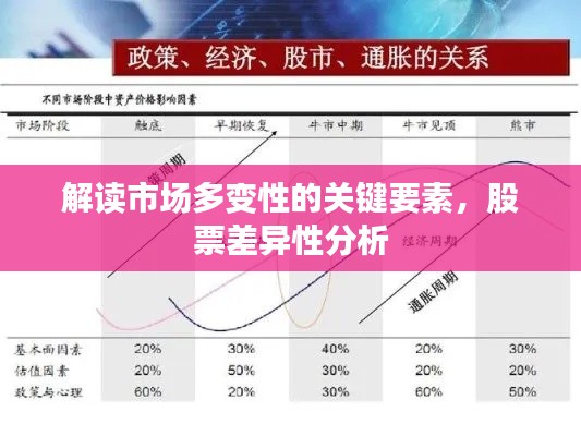 解讀市場多變性的關鍵要素，股票差異性分析