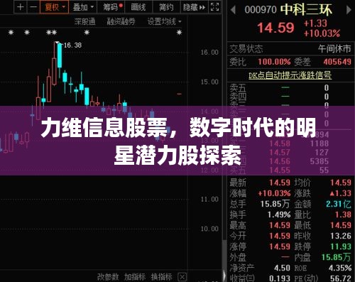 力維信息股票，數(shù)字時(shí)代的明星潛力股探索