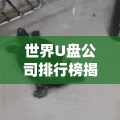 世界U盤公司排行榜揭曉，行業(yè)巨頭一覽無余！