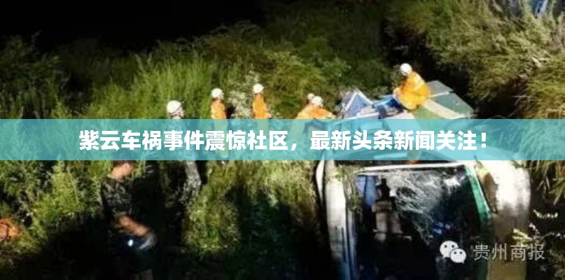 紫云車禍?zhǔn)录痼@社區(qū)，最新頭條新聞關(guān)注！