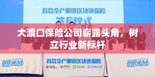 大渡口保險公司嶄露頭角，樹立行業(yè)新標(biāo)桿