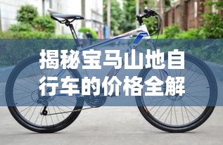 揭秘寶馬山地自行車的價(jià)格全解析！