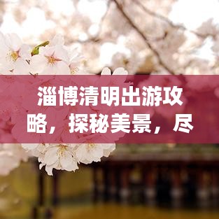 淄博清明出游攻略，探秘美景，盡享文化盛宴！
