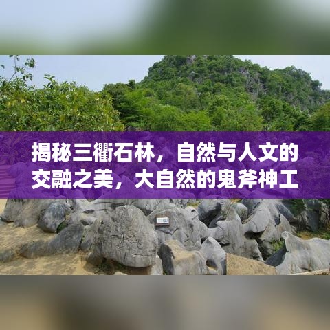 揭秘三衢石林，自然與人文的交融之美，大自然的鬼斧神工欣賞