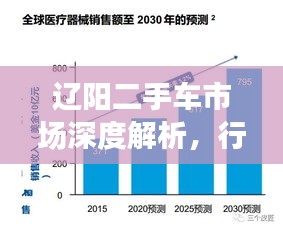 遼陽二手車市場深度解析，行情、趨勢與前景展望