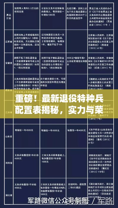 重磅！最新退役特種兵配置表揭秘，實力與榮耀并存