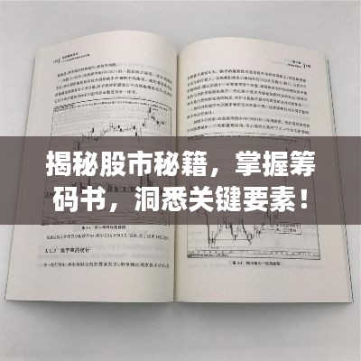 揭秘股市秘籍，掌握籌碼書，洞悉關(guān)鍵要素！
