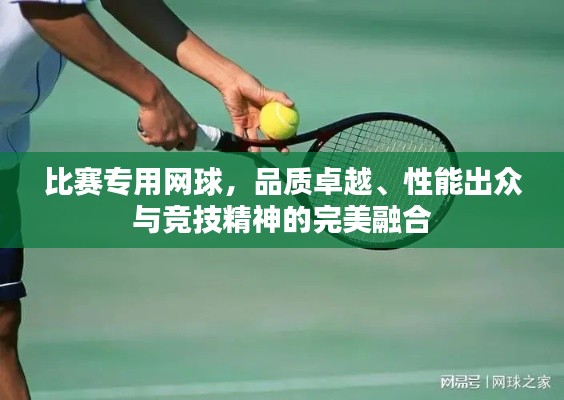 比賽專用網(wǎng)球，品質(zhì)卓越、性能出眾與競技精神的完美融合