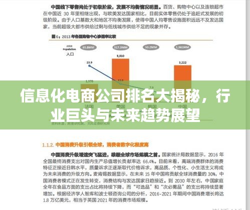 信息化電商公司排名大揭秘，行業(yè)巨頭與未來趨勢展望