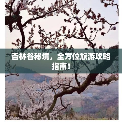杏林谷秘境，全方位旅游攻略指南！