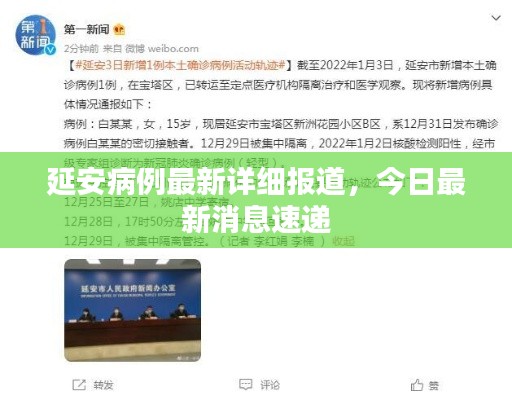 延安病例最新詳細報道，今日最新消息速遞