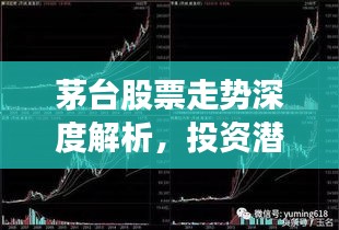 茅臺(tái)股票走勢深度解析，投資潛力與風(fēng)險(xiǎn)洞察