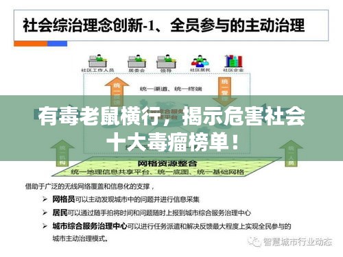 有毒老鼠橫行，揭示危害社會(huì)十大毒瘤榜單！