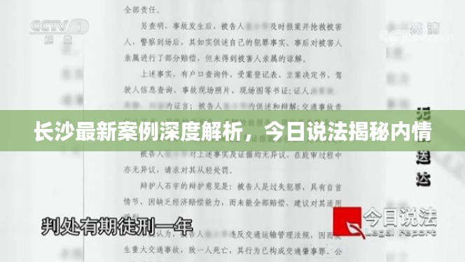 長(zhǎng)沙最新案例深度解析，今日說(shuō)法揭秘內(nèi)情