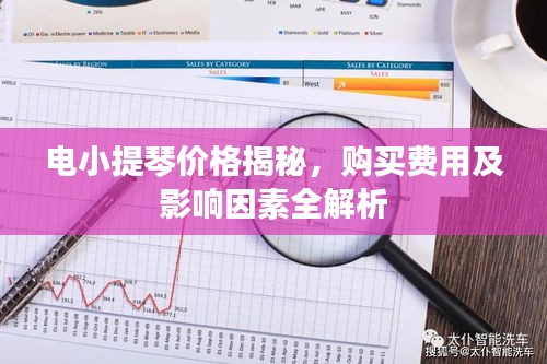 電小提琴價格揭秘，購買費用及影響因素全解析