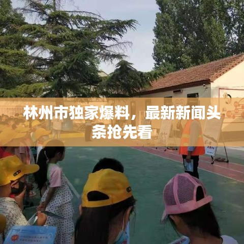 林州市獨家爆料，最新新聞頭條搶先看
