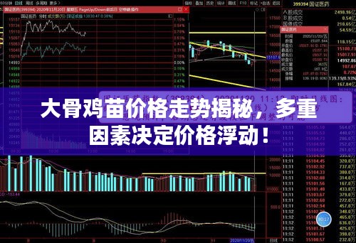 大骨雞苗價格走勢揭秘，多重因素決定價格浮動！