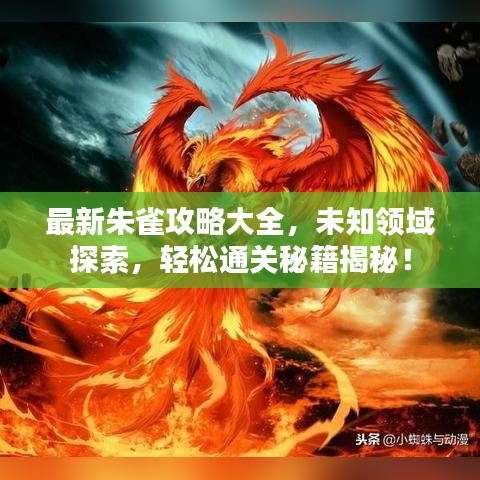 最新朱雀攻略大全，未知領(lǐng)域探索，輕松通關(guān)秘籍揭秘！