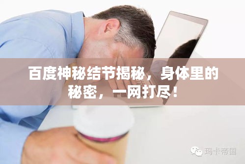 百度神秘結(jié)節(jié)揭秘，身體里的秘密，一網(wǎng)打盡！