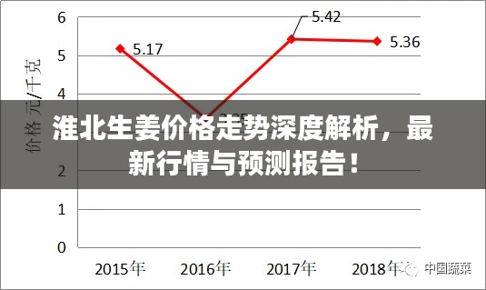 淮北生姜價(jià)格走勢深度解析，最新行情與預(yù)測報(bào)告！