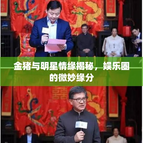 金豬與明星情緣揭秘，娛樂圈的微妙緣分